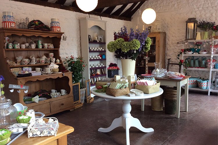 Purple Parrot shop interior